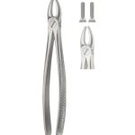 Tooth Forceps for upper incisor and Canines