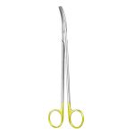 Dissecting Scissors